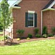 Flowerbed & Shrub Maintenance